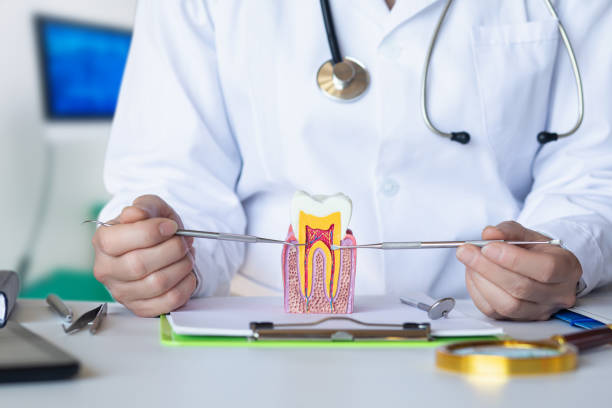 Best Dental Abscess Treatment in Walden, TN